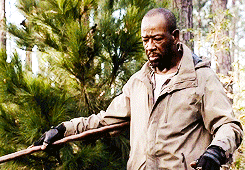 tumblr_nm1n9gfmgO1ru34cuo8_250.gif