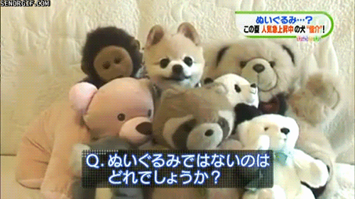 4c5.gif