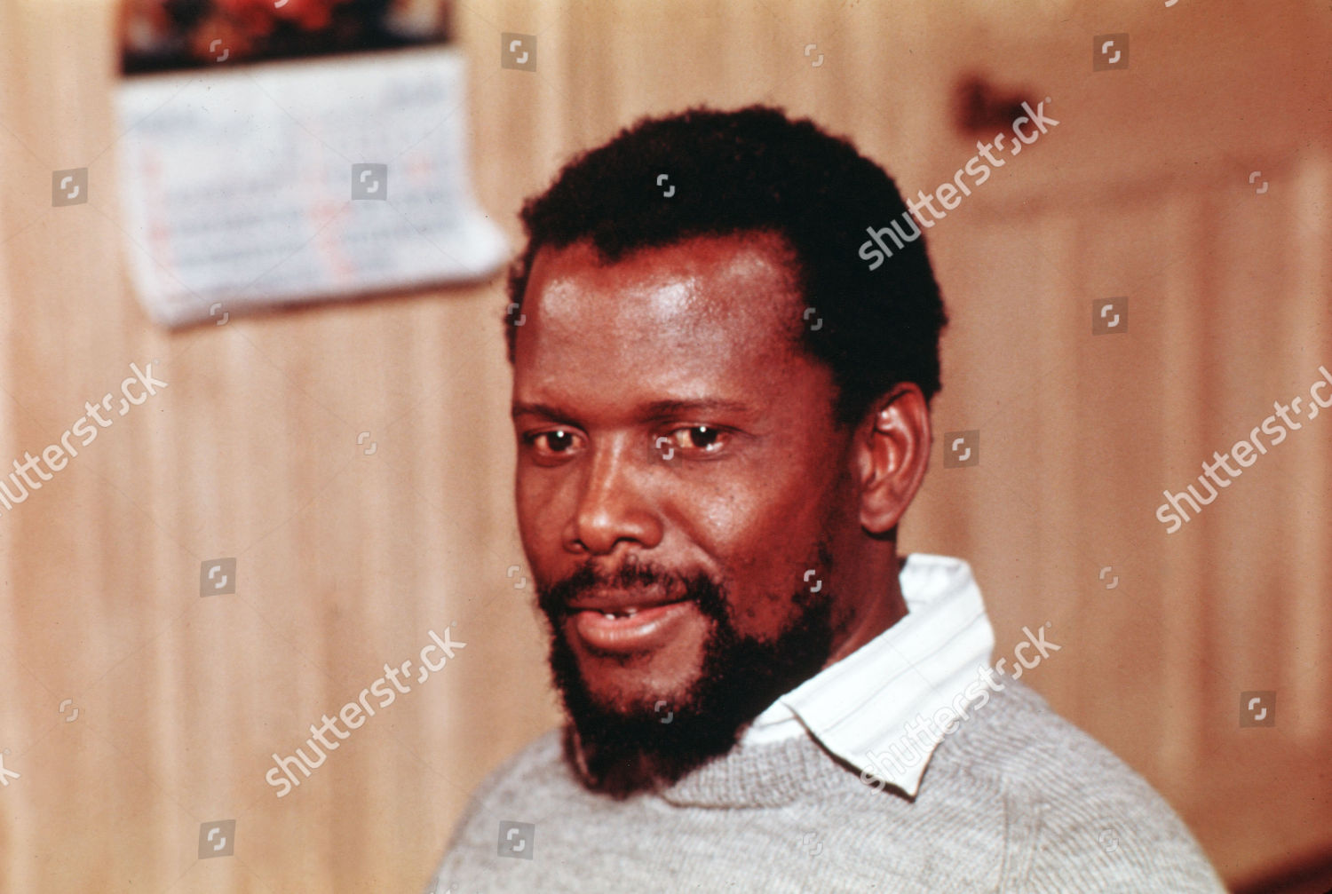 Shutterstock_5867677c.jpg