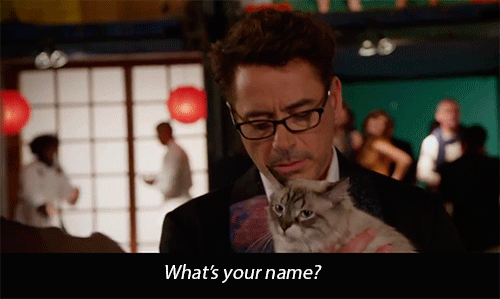 tumblr_msacv4Eybh1qaxihzo1_500.gif
