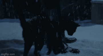 d464f351986f753101ea3a0a1f382ea4.gif