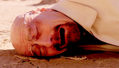 tumblr_nbykcdiPH91rrutvoo3_250.gif