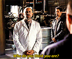 tumblr_mzyhxzn8NN1r0bnq5o1_250.gif