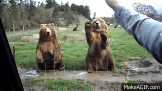 ehh-ze.gif