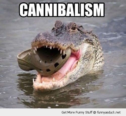 funny-cannibalism-croc-shoe-crocodile-pics.jpg