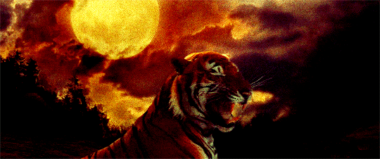 tumblr_pf78r8XNcJ1qk4fe1o4_r1_540.gif