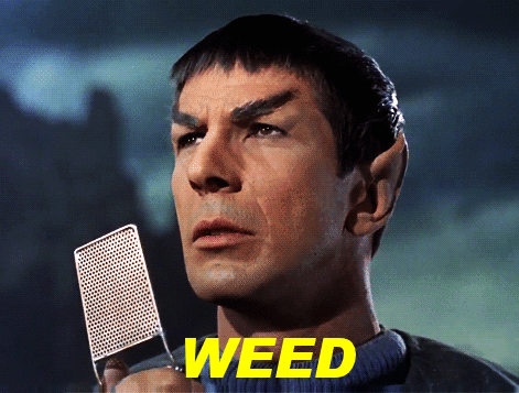tumblr_inline_ndz7262kwh1qbngxv.gif