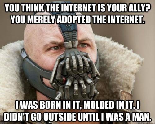 tumblr_m8b35bdNBP1qzzjlio1_500.jpg