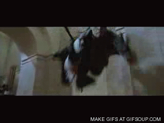 2770185_o.gif