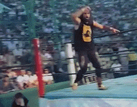 tumblr_mnnhsnKgSx1qivspno1_400.gif