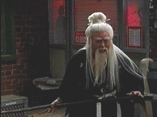 Blindkungfumaster.gif