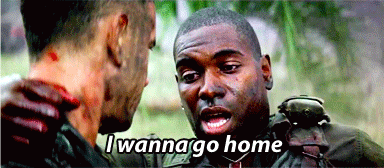 tumblr_mp4a6bqAVA1r36heeo1_400.gif