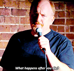 tumblr_n561jaHMKs1raj375o1_250.gif