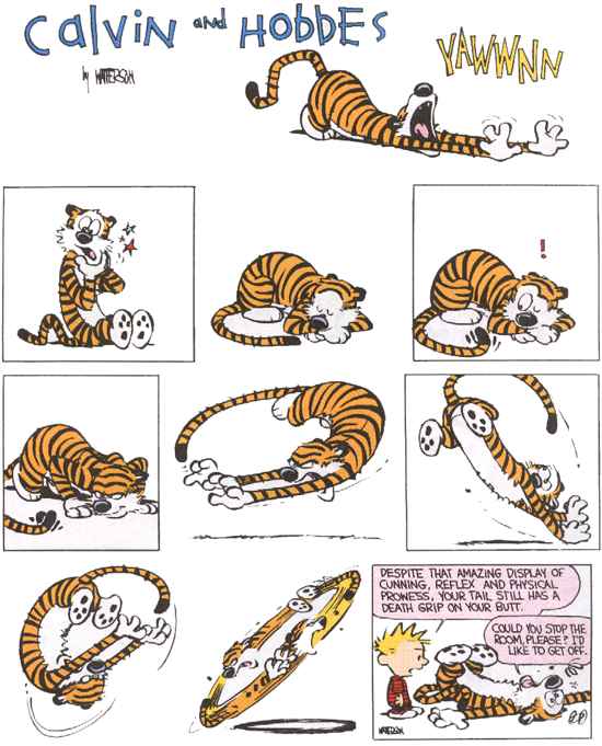 a_tiger_is_hunting.jpg