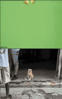 8w7w57.gif