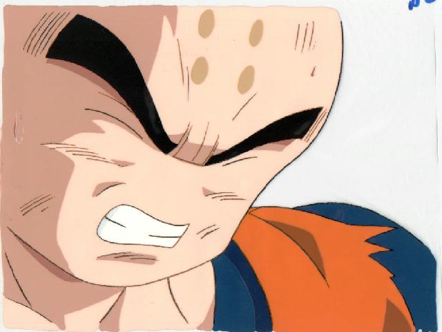 krillin3.jpg