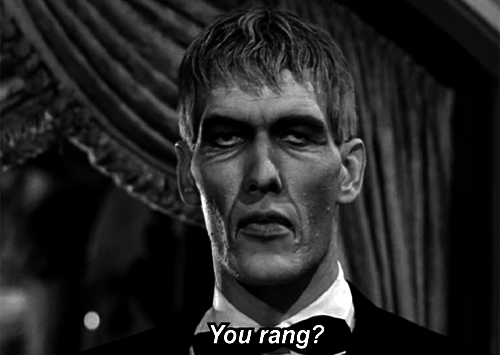 tumblr_mpyd4sV5Zl1qdae2ro1_500.gif