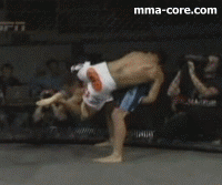 100125-imada.gif