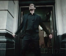 tumblr_n4vfm0Lama1srjmswo1_r1_250.gif