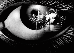 tumblr_ng6yr9ASdh1sovi3mo4_250.gif