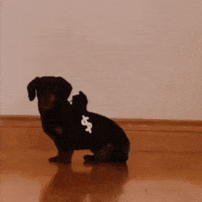 cops-and-robbers.gif
