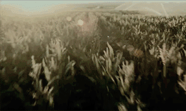 tumblr_plgflg73at1y4hi48o2_400.gif