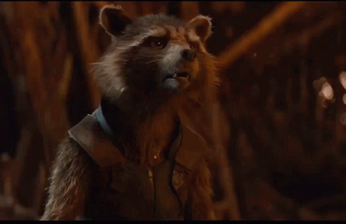 rocket-racoon-marvel.gif