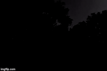 2g4wdt.gif