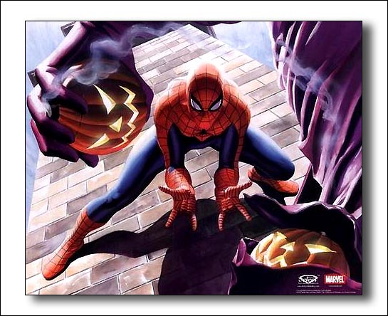 spider10.jpg