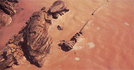 tumblr_oezn4wq9x11sdiuwlo3_r2_400.gif