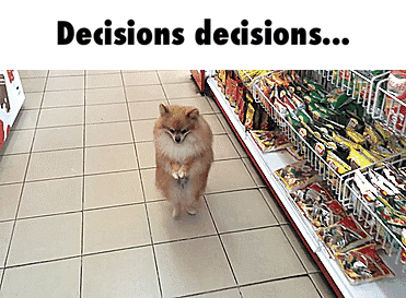 19f2afdefe31671fe0be311d61057e2d.gif