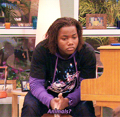 tumblr_mv6nzb4hso1rrndj1o3_250.gif