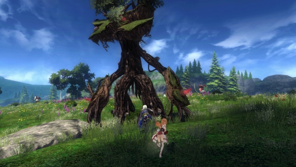 SAOHR-Dated-Fall.jpg