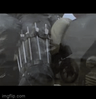 33fc66515981701bdc3743e252320af0.gif