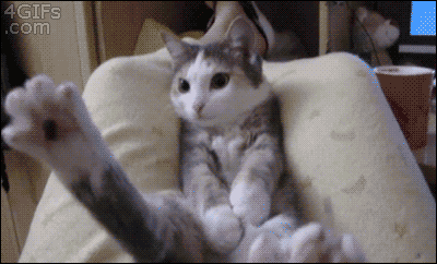 tumblr_mygcedBZwC1qdlh1io1_400.gif