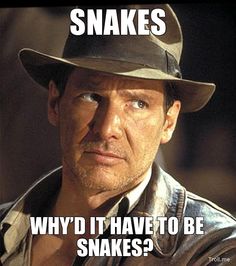 371f0a965f4e6fb8bd518ef576c83b34--teacher-memes-class-memes.jpg