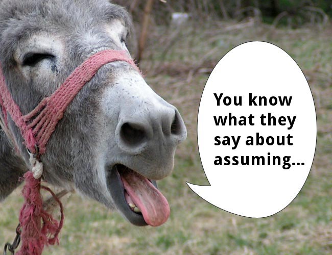 donkey.jpg