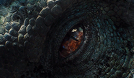 tumblr_nradpooXWJ1tc05ego6_400.gif