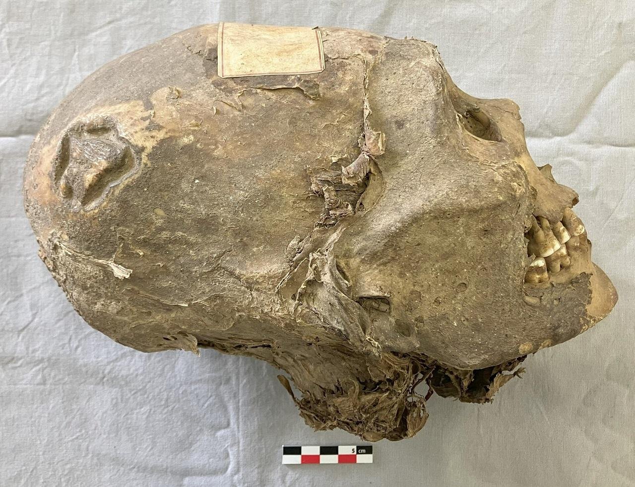 archaeologymag.com