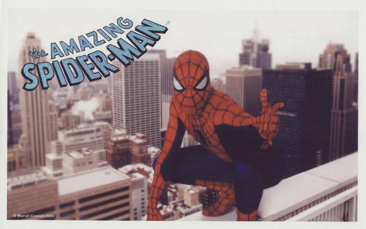 The_Amazing_Spiderman_by_BroHawk.jpg