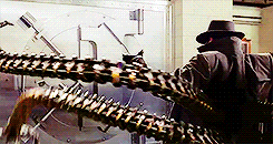 tumblr_n5i0c36HOv1qgr036o5_250.gif