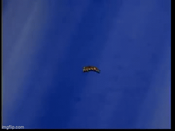 9616br.gif