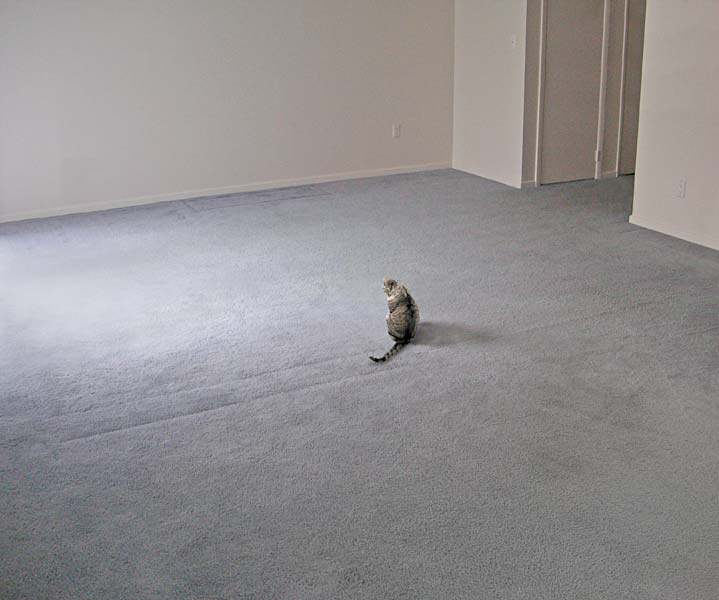 marie-empty-room.jpg