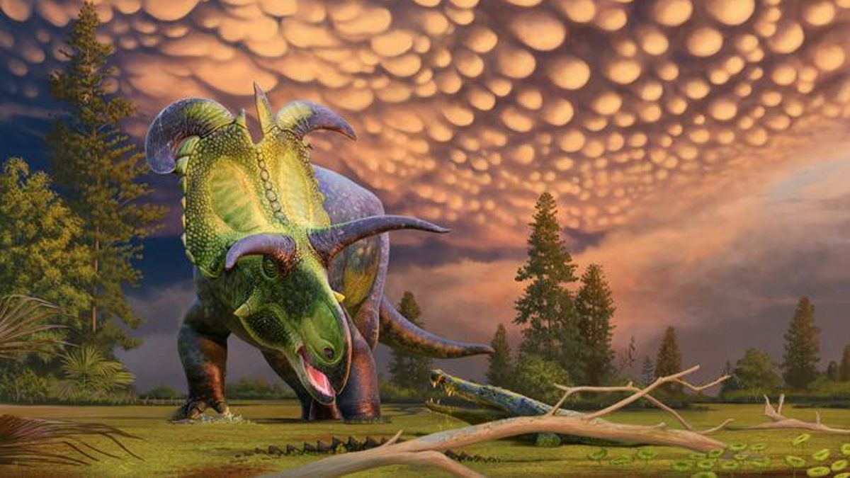 www.livescience.com