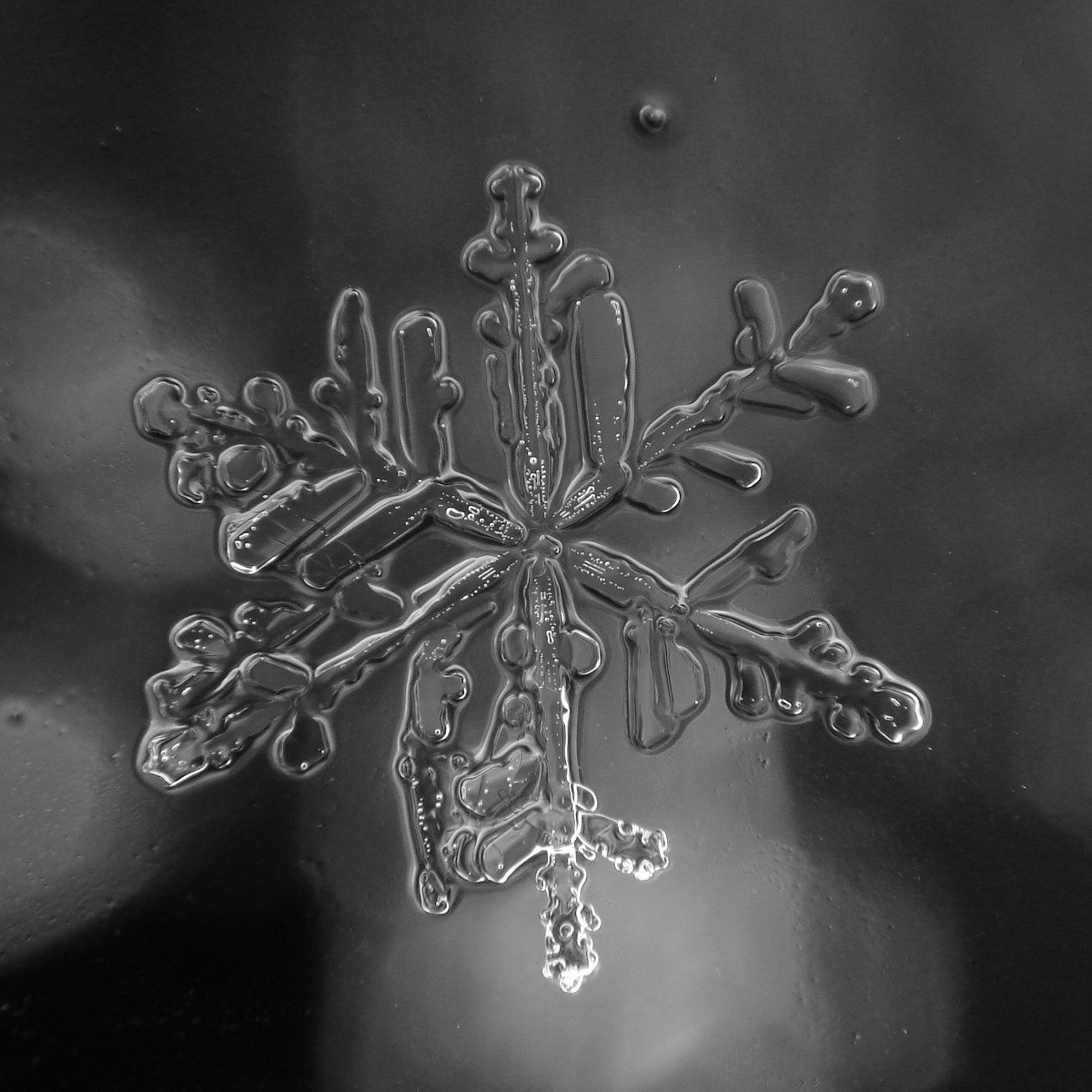 melting_snowflake_by_viltsi-d4pxh6p.jpg