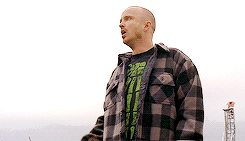 tumblr_ns6ofpMfG41r7cf6no1_250.gif