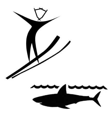 jump_shark_proof.jpg