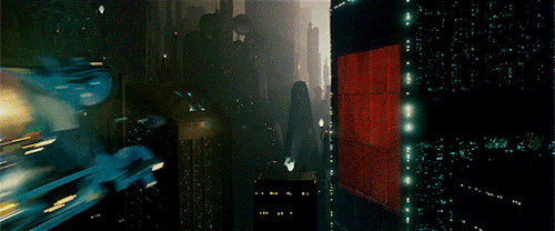 82111.gif