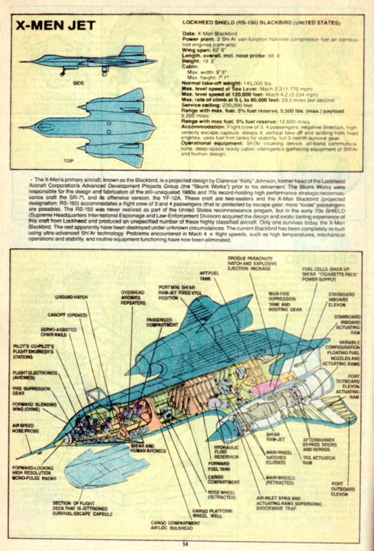 blackbird01.jpg
