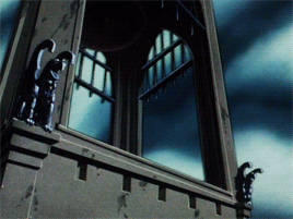 tumblr_nvv6n37uH01rrkahjo1_400.gif